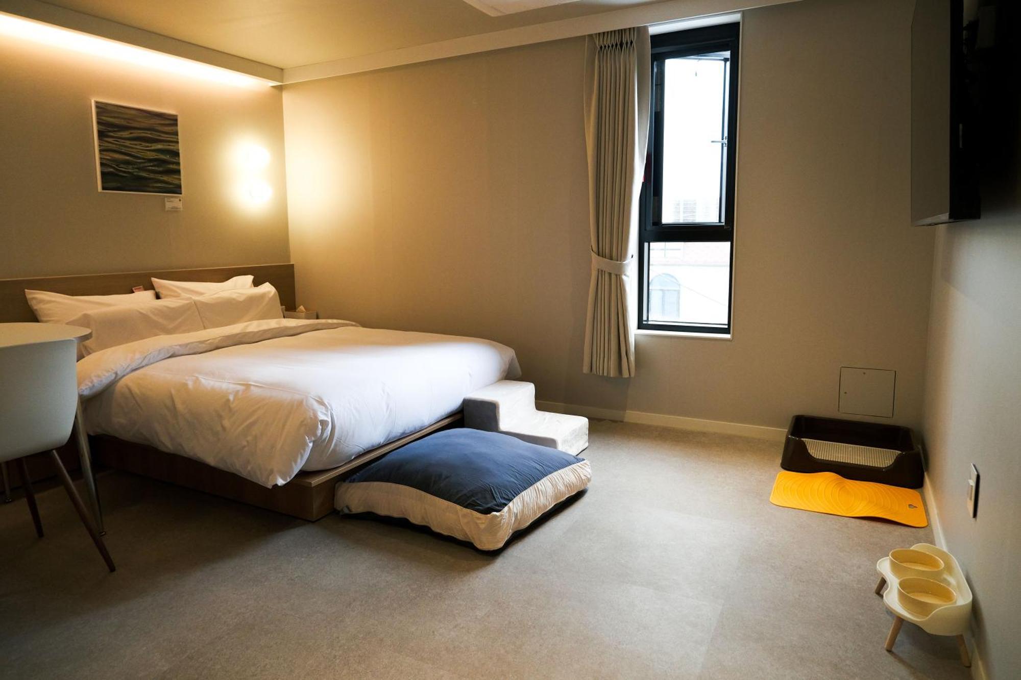 Aank Hotel Incheon Songdo Eksteriør bilde