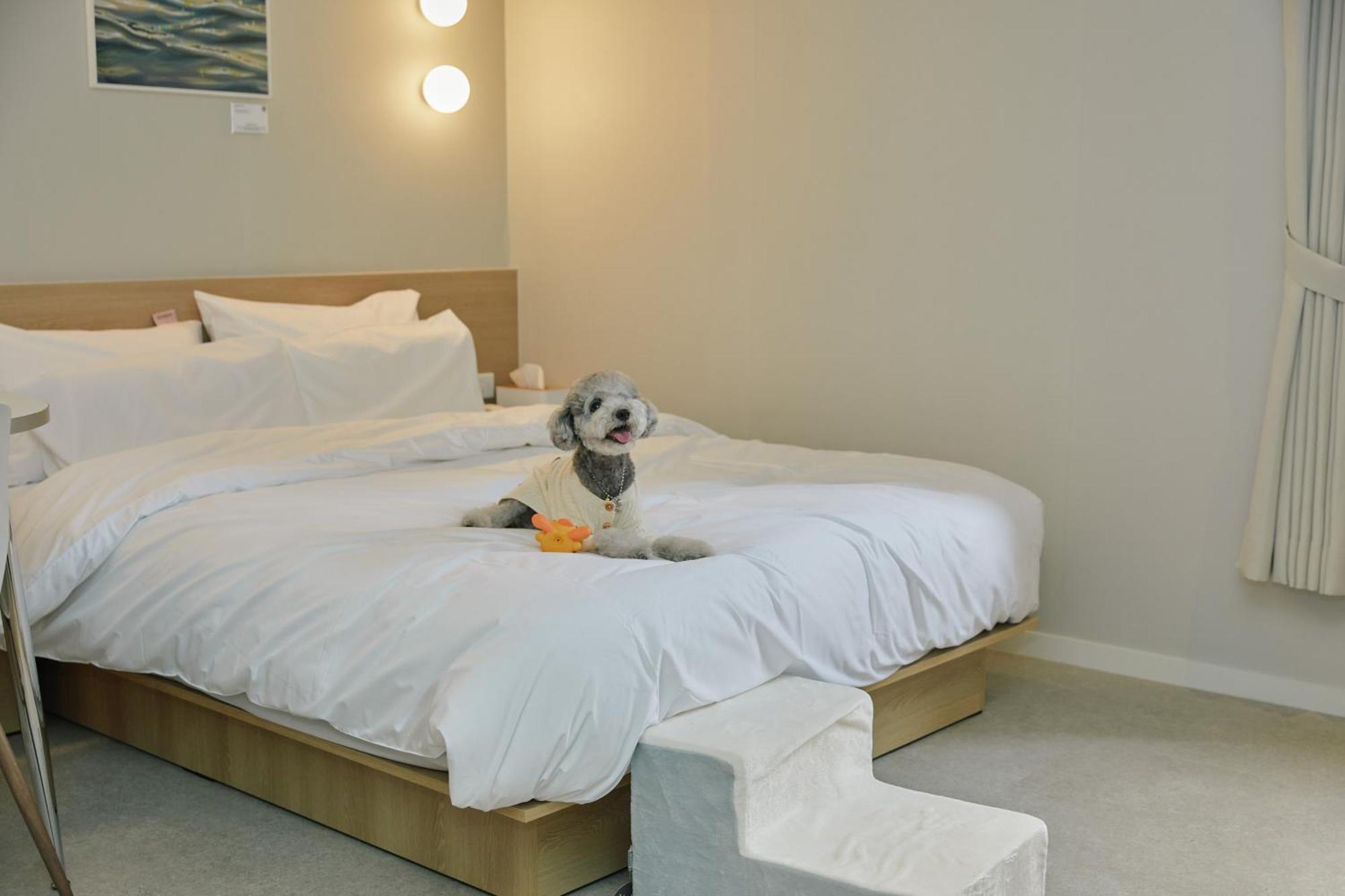 Aank Hotel Incheon Songdo Eksteriør bilde